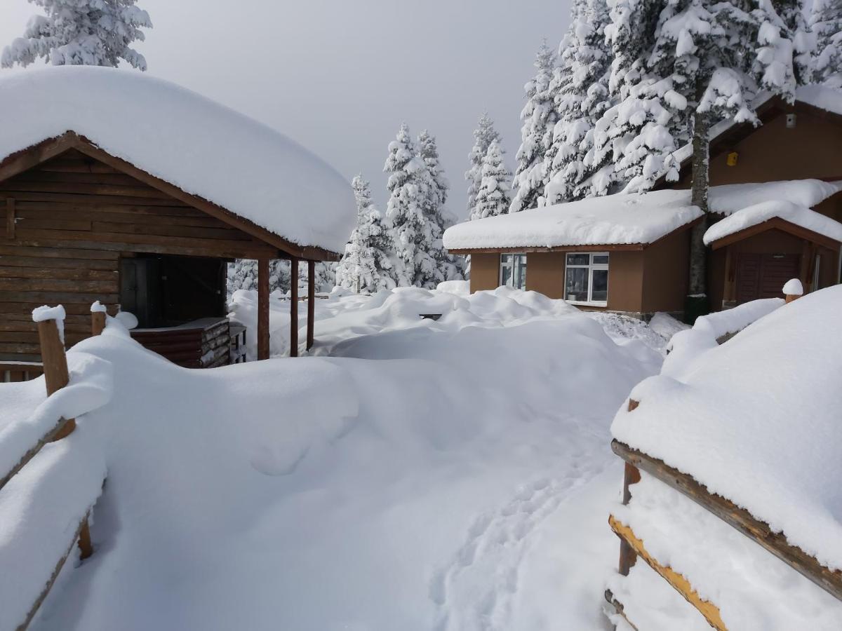 Elifim Resort Hotel Bolu Exterior photo